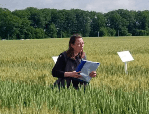 visites essais en grandes cultures chambre d'agriculture de loir-et-cher