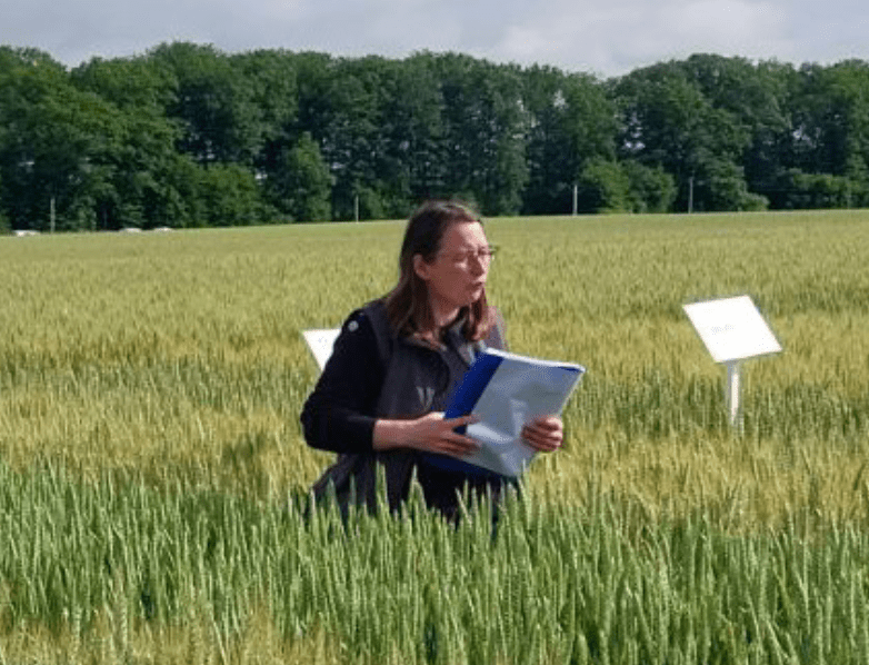 visites essais en grandes cultures chambre d'agriculture de loir-et-cher