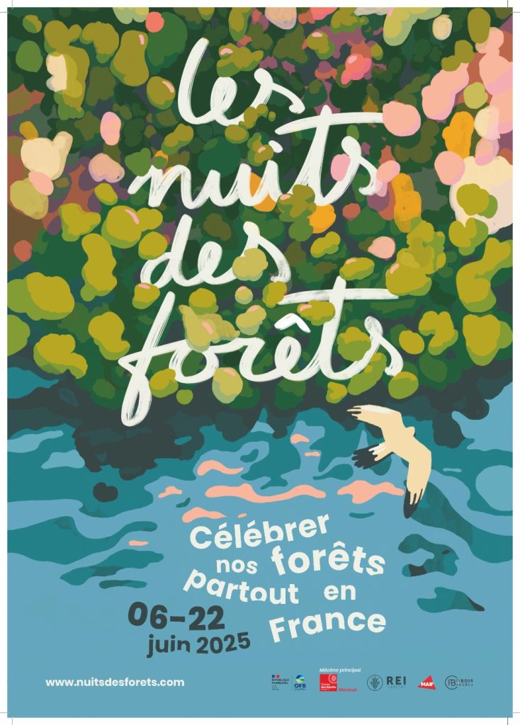 Les Nuits des Forêts en Centre-Val de Loire 2025