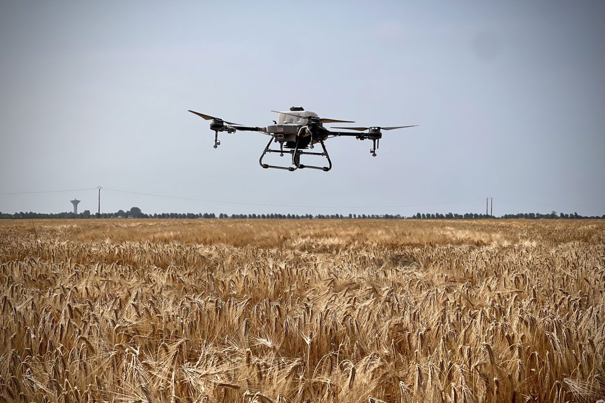 Agrodrone, le couvert vient du ciel