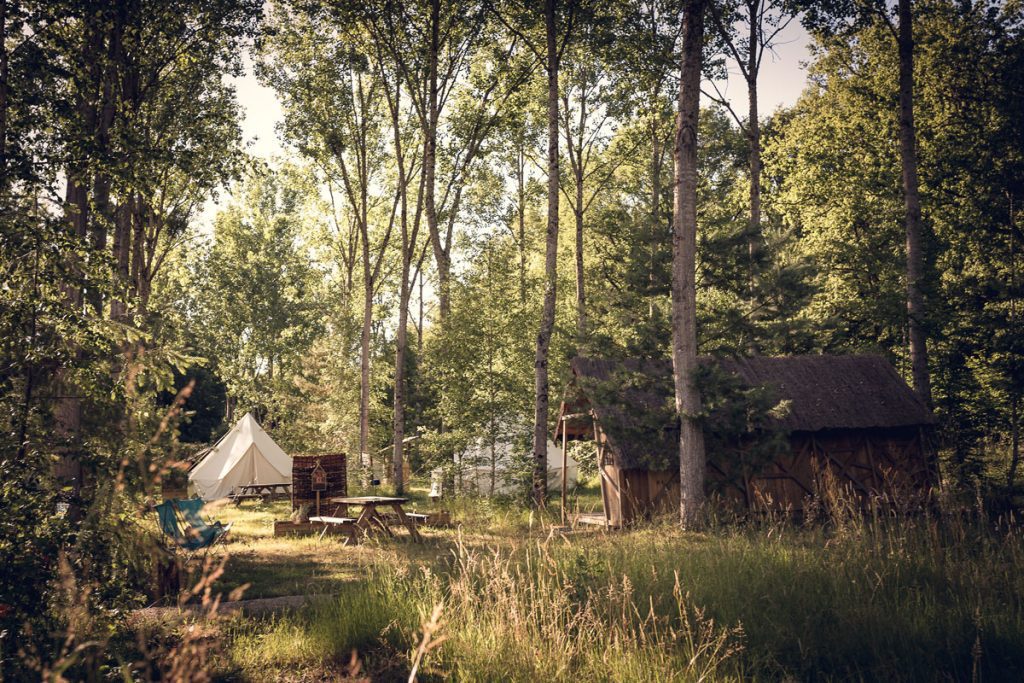 Le Glamping, quand la nature flirte avec le confort