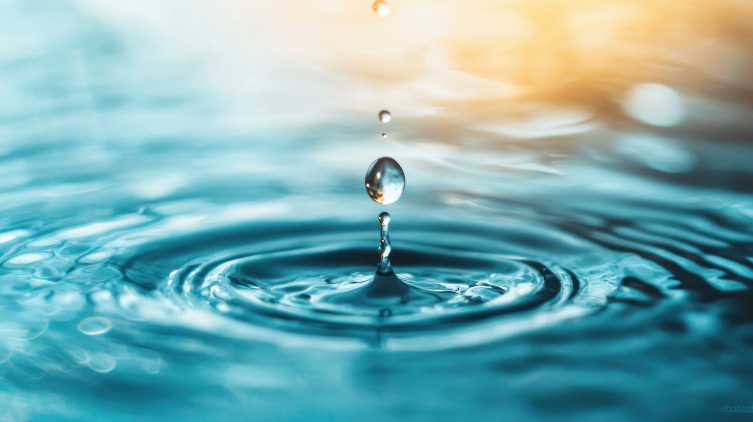 Ressource en eau : le Haut-Commissariat au plan alerte sur le risque d'une France à sec en 2050