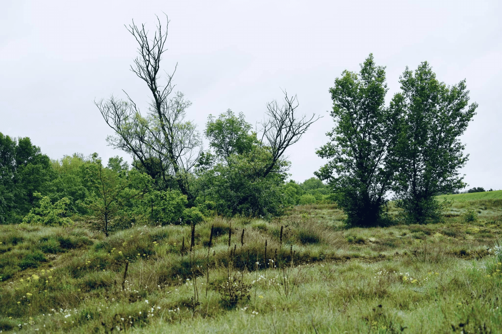 Les engagements biodiversité de l’État en Loir-et-Cher
