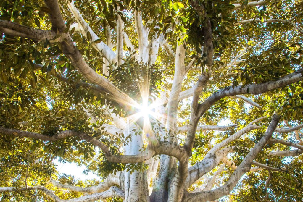 Dossier : Entre initiatives et désirs de changement, tout est-il possible ?