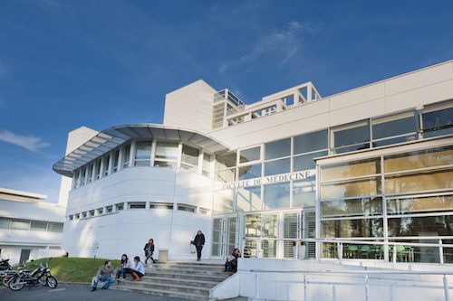 Un nouveau Master européen en intelligence artificielle et robotique sociale appliquée à la santé globale