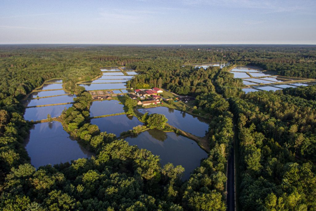 Un nouveau cap pour la filière pisciculture