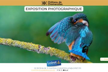 Voyage au cœur du Loiret - Une exposition à voir au château de Chamerolles du 11 avril au 20 septembre 2026