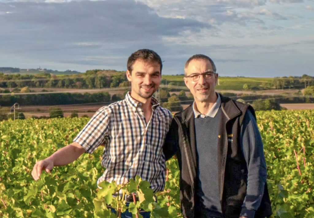 Bouteilles de vin allégées : bien plus d’avantages que d’inconvénients