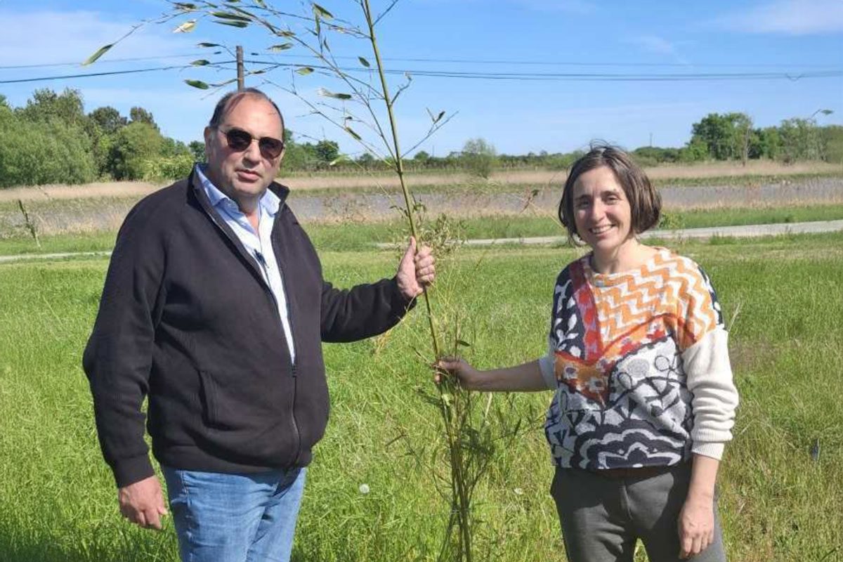 Diversification agricole : les exemples gagnants de Valconie et de Regis Bonnin